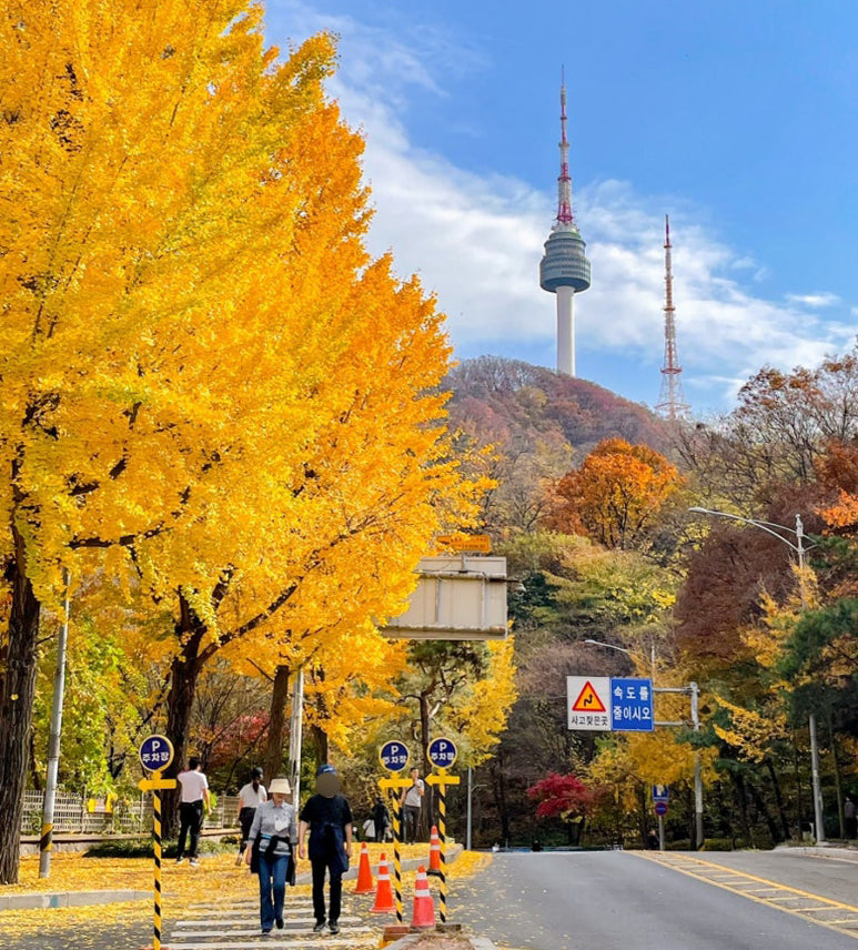 Namsan (Autumn Season, Seoul Tower) – SEOULSHOPPER