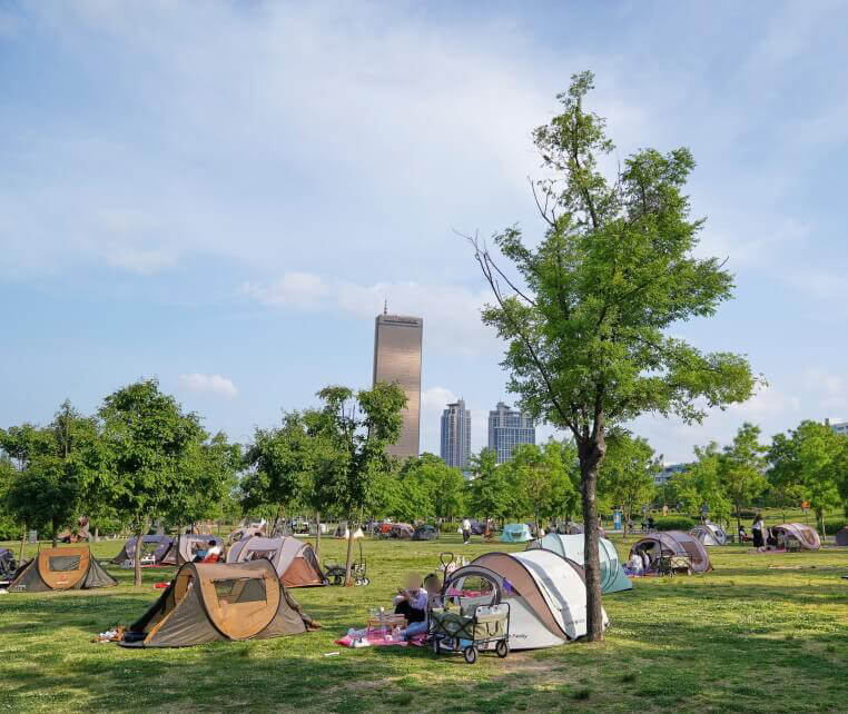 Yeouido Hangang Park (with Starlight tent rental)