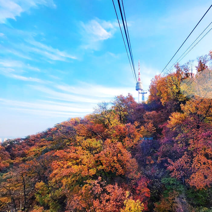 Namsan (with Cable car)