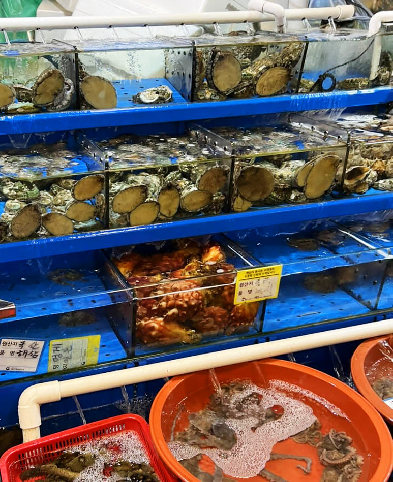 Noryangjin Fish Market